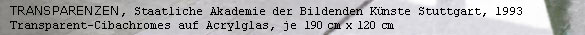 TRANSPARENZEN, Staatliche Akademie der Bildenden Künste Stuttgart, 1993, Transparent-Cibachromes auf Acrylglas, je 190 cm x 120 cm